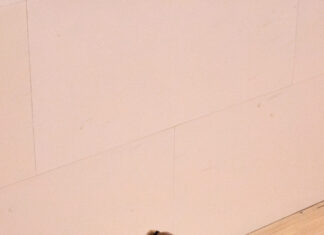 Canada’s Student-Athletes Set to Compete at the 2025 Jesters Canadian University and College Championship in Montreal, QC